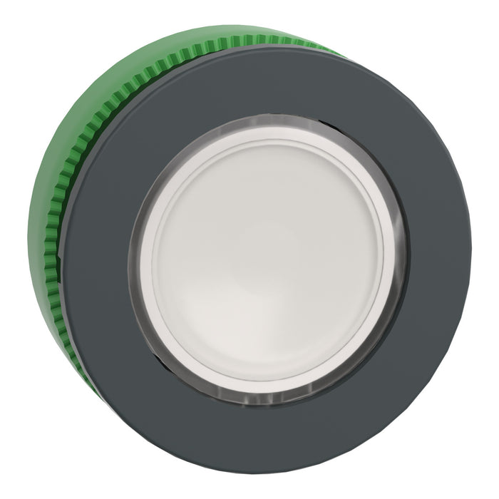 Head for illuminated push button, Harmony XB5, flush mounted white flush caps pushbutton integral led
