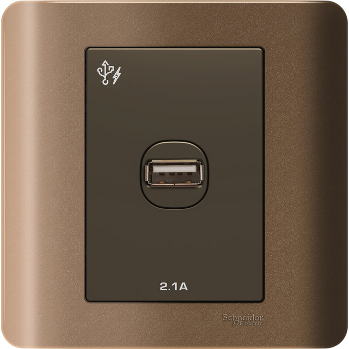 ZENcelo - 1 x 2.1A USB Charger - Silver Bronze