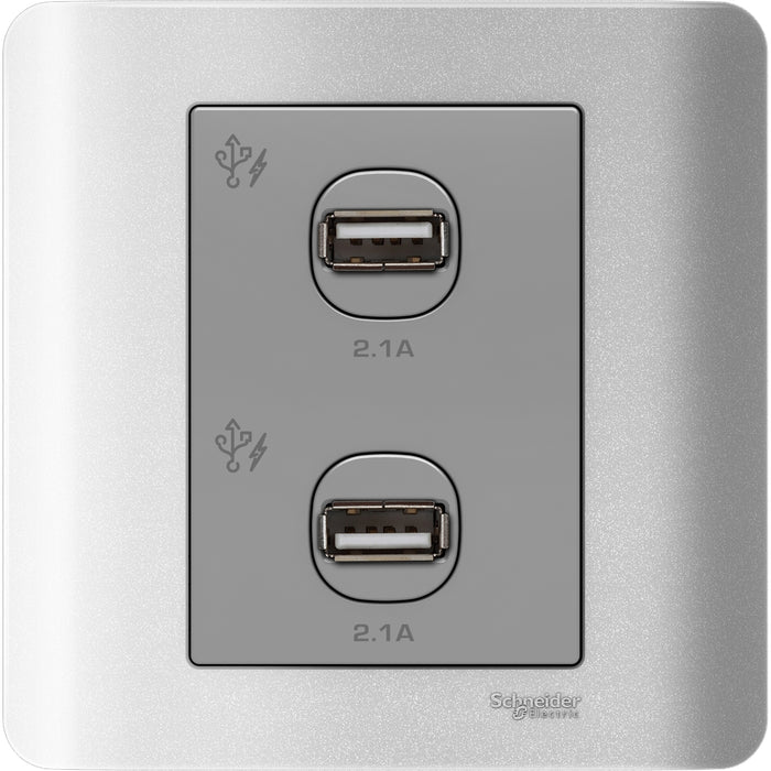 ZENcelo - 2 x 2.1A USB Charger - Silver Satin