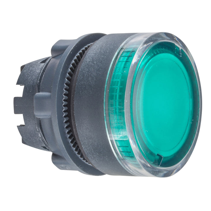 Harmony XB5, Illuminated push button head, plastic, flush, green, Ø22, spring return, plain lens for BA9s bulb