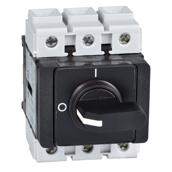 TeSys Vario - switch disconnector - 63 A - back of enclosure