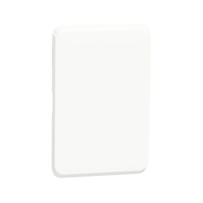 Iconic, blind cover frame, white 4X2