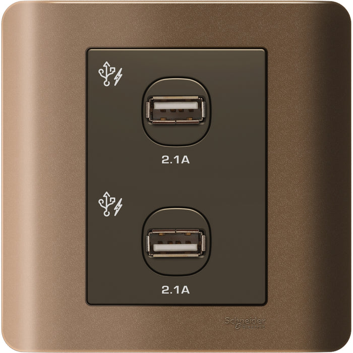 ZENcelo - 2 x 2.1A USB Charger - Silver Bronze