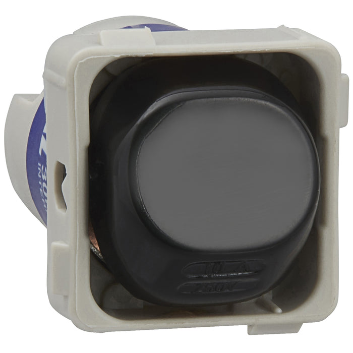 Switch 30 Series Mechanism - Intemediate - 250 V - 10 A - Black