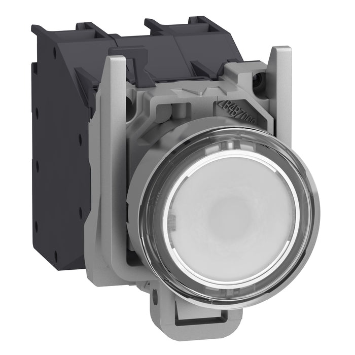 Complete illuminated push button, Harmony XB4, metal, flush, white, Ø22 mm, spring return, booted, 24...254 V AC/DC, 1 NO, ATEX