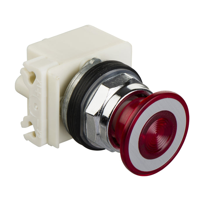 PUSHBOTTON PILOT LIGHT 30MM