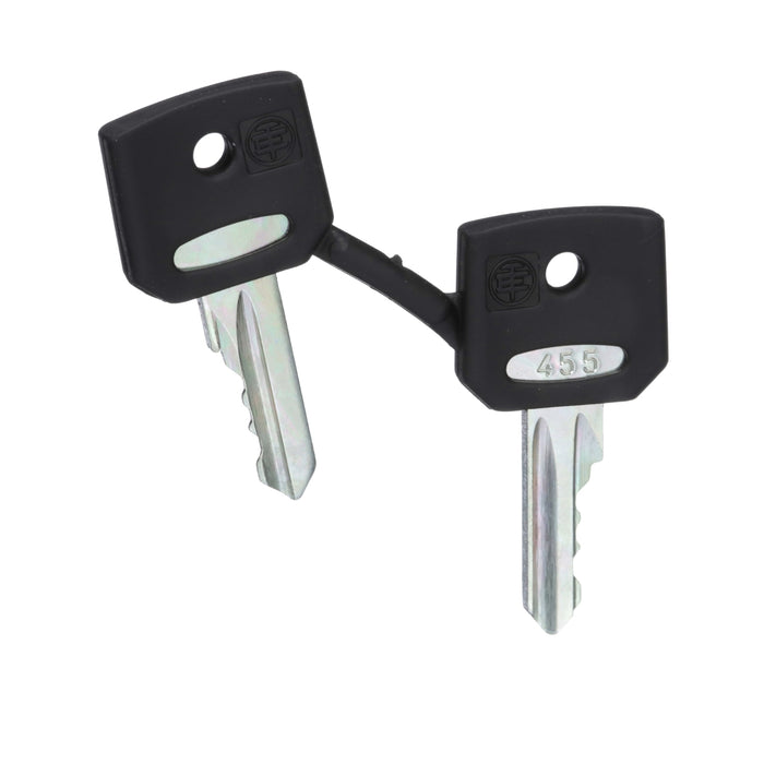 Harmony XB4, Set of 2 keys, Ronis 455