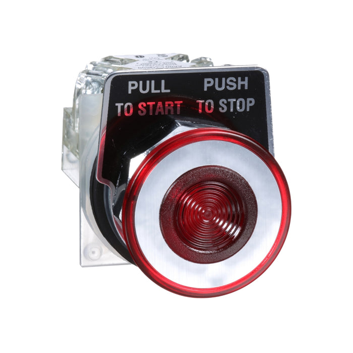 PUSHBUTTON 600VAC 10A 30MM TYPE K