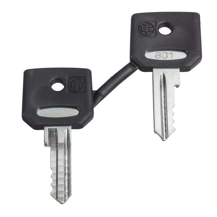 set of 2 keys 520E